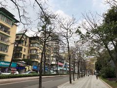 -广州近代史博物馆