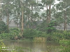 -黄埔油麻山森林公园