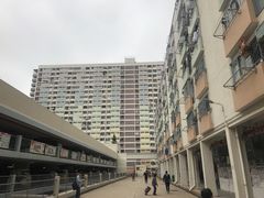 -彩虹村