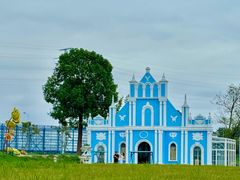 -杭州湾海上花田景区