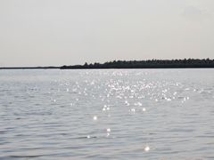 -哈素海