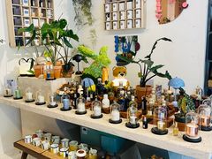 -PlantsEatery·植物食堂(REX春熙店)