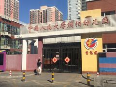 -中国人民大学朝阳幼儿园(芍药园)