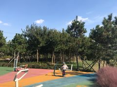 -羊亭河湿地公园