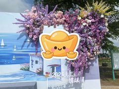 -荷兰花海