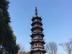 -上海佘山国家森林公园西佘山园