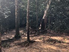 -巴哥国家公园