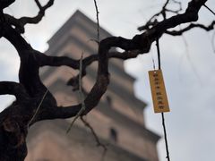 -大慈恩寺(大雁塔)