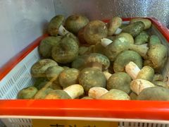 -菌海森林·非遗野生菌火锅(西山区滇池路摩根道店)