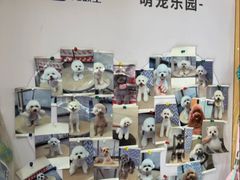 -宠颐生宠物医院·异宠猫科内科·诊疗中心宠巢店