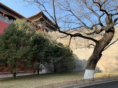 -东华门大街小区