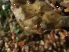 -刘三姐特色烤豆花·宜宾烧烤·把把烧(万年场店)
