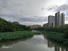 -金山公园