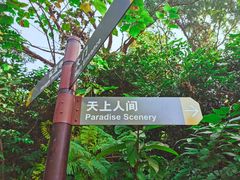-深圳仙湖植物园