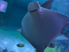 -沈阳海洋探索中心