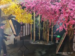 -盘子女人坊生日照·摄影馆(华强店)