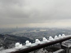 -紫金山山顶公园