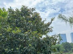-白塘生态植物园
