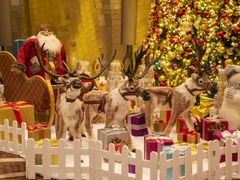 -广州天河希尔顿酒店