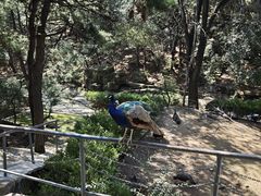 -燕塞湖鸟语林景区