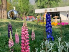 -国家植物园南园