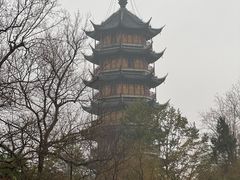 -红梅公园