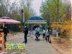 -北京麋鹿生态实验中心
