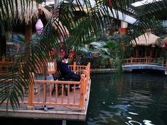 -南宫五洲植物乐园