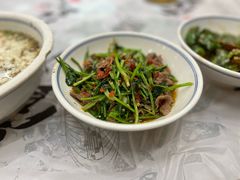 香菜炒牛肉-壹盏灯(蚂蚁工房店)
