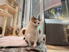 -黑胶星球(华发中城商都店)