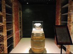 -丹世红酒庄·烧烤·团建·婚礼·水上运动