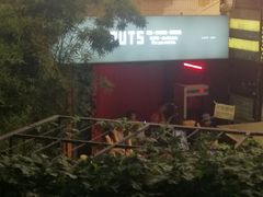 -坚果NUTS