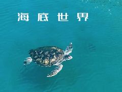 -广东惠东海龟国家级自然保护区