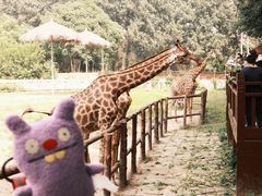 -北京野生动物园