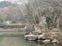 -宁波野生动物园
