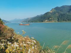 -羚羊峡古栈道森林公园