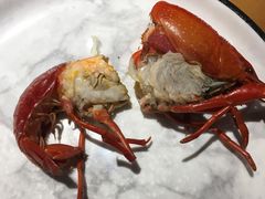 贵妃虾-0574龙虾的故事(东裕店)