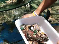 -蓝珊甄选海鲜自助·火锅大排档(近阿那亚店)