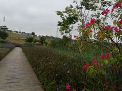 -那考河湿地公园