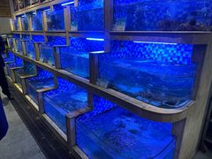 -老蒲鲜(涵江店)