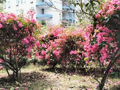 -燕晗山郊野公园