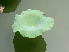 -天津东丽湖风景区