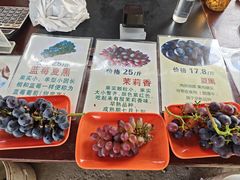 -马陆小张葡萄园农家乐