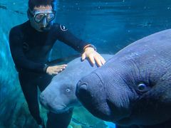 -烟台海昌鲸鲨海洋公园