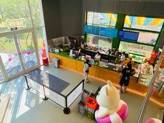 -爪吧宠物乐园·宠物泳池(温榆河示范区店)