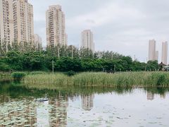 -前关湿地公园
