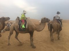 -银肯塔拉沙漠生态旅游景区