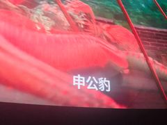 -佳兆业国际影城(惠州IMAX店)