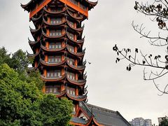-塔子山公园