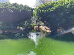-九龙公园